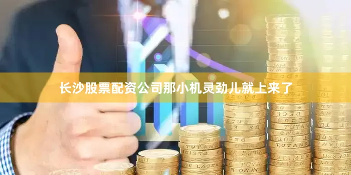 长沙股票配资公司那小机灵劲儿就上来了